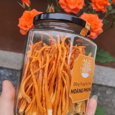 Đông trùng hạ thảo sấy thăng hoa (lọ 20gr )